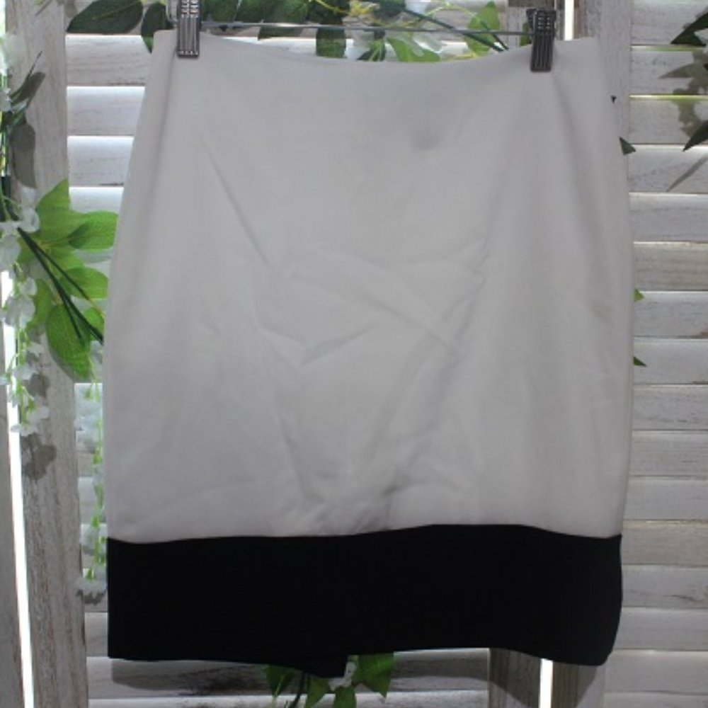 White house black market mini skirt (1103)